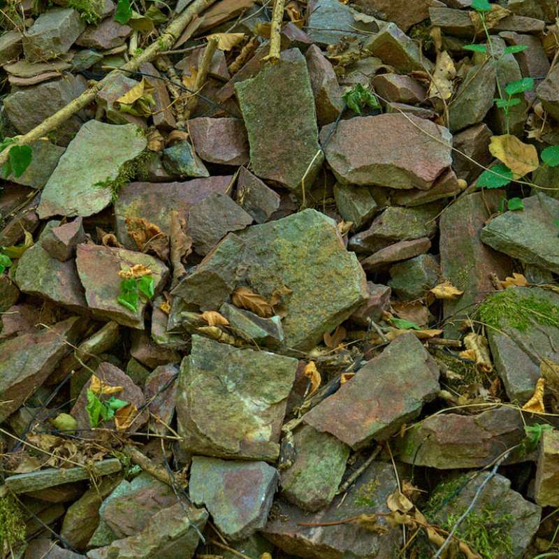 AFFLEUREMENT DE QUARTZITES DE SIERCK-LES-BAINS