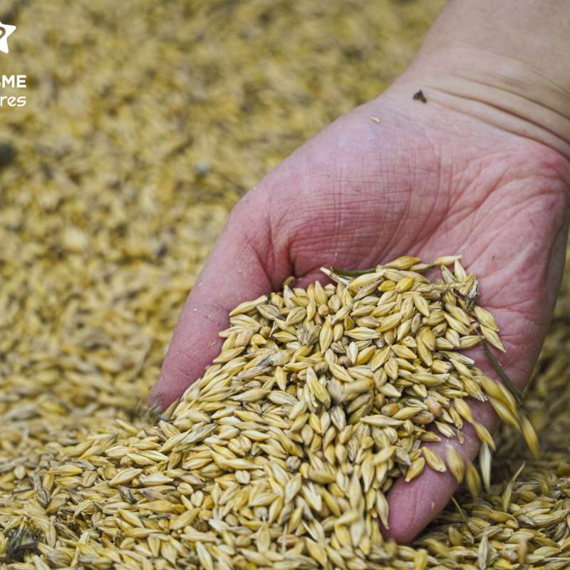 Trois Frontières Tourisme  Earl du Chambeyron