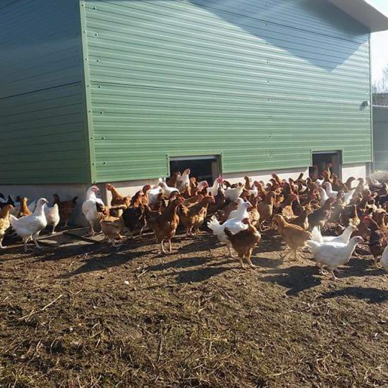 Ferme Porten  Porten Farm