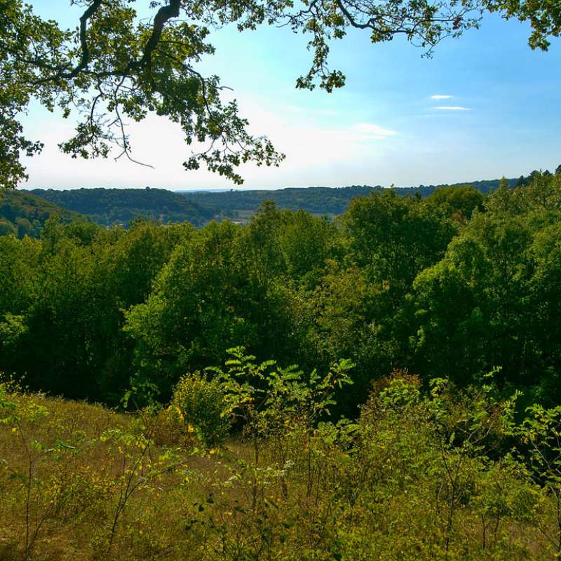 RÉSERVE NATURELLE NATIONALE DE MONTENACH