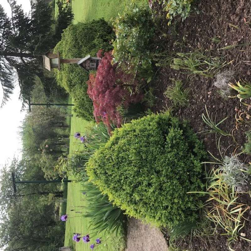 Photo Claudine PERRIN Gîte du Haselberg
