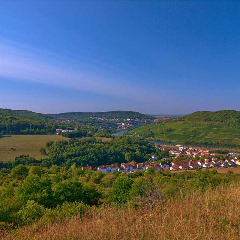 Emmanuel Stourm 2020
Licence Open Data Réserve naturelle de hammelsberg