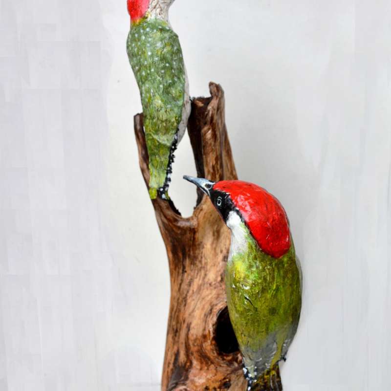 Petite Tortue Petite tortue