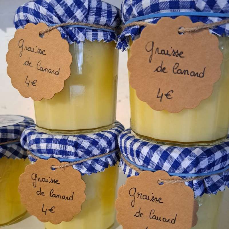 Émilie MASSON The flomesfeld