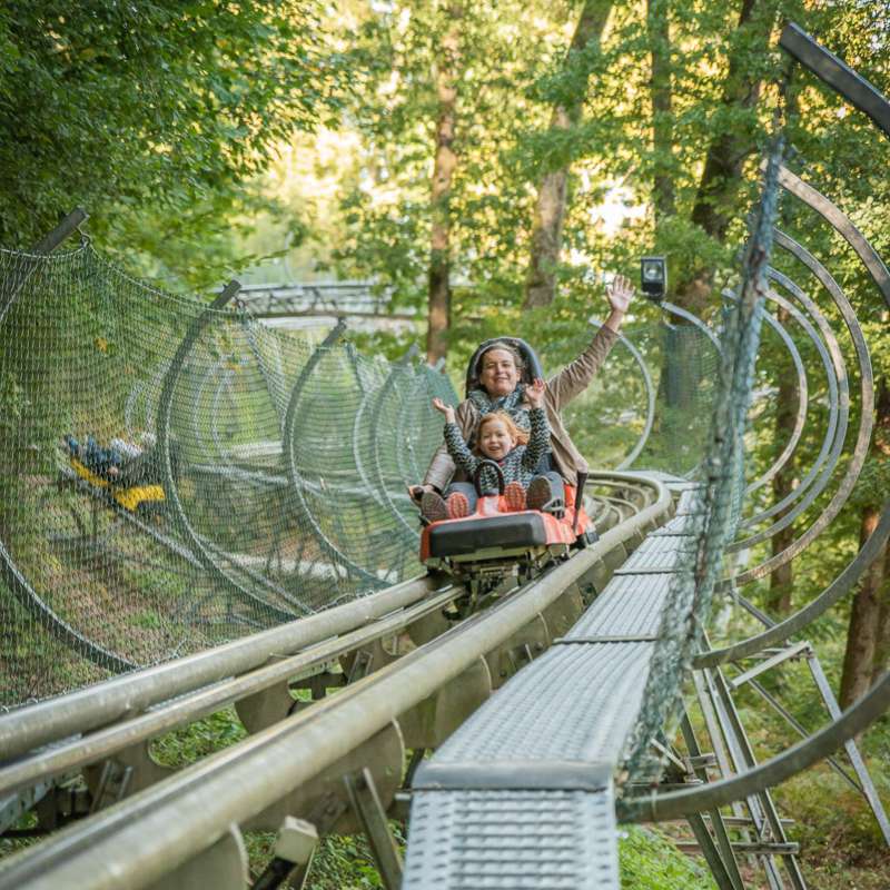 LUGE ALPINE COASTER