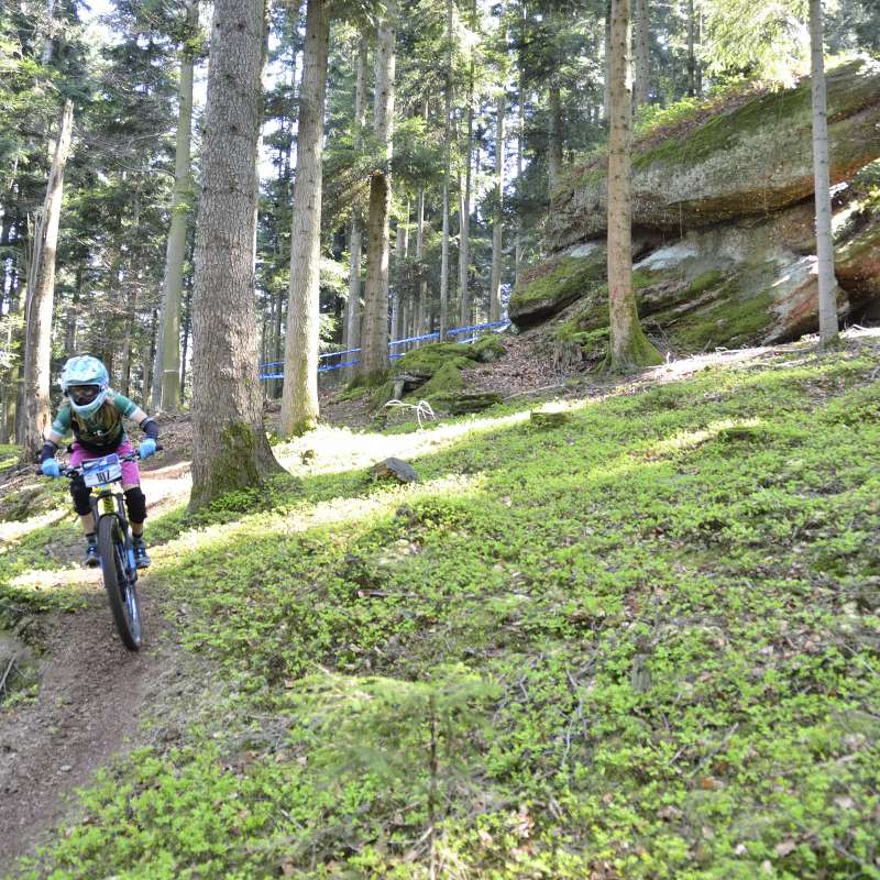 Marc ALBRECHT Gîte la Loge du Pic Noir