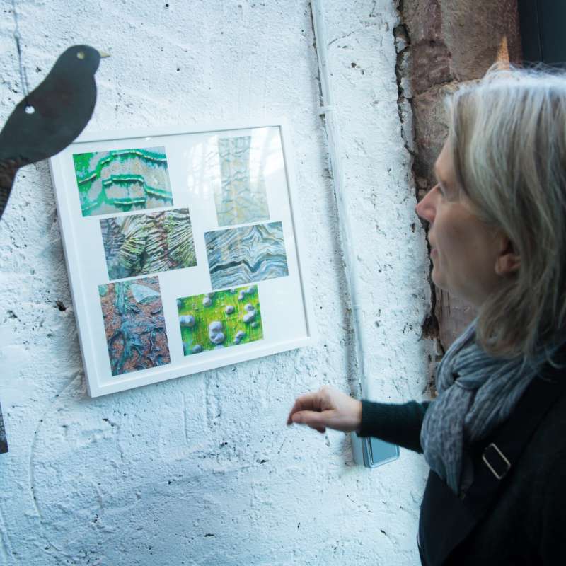 Gilles Dorschner Art et Terre