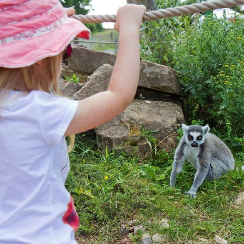 Parc animalier de Ste Croix - Morgane Bricard Sainte-Croix animal park