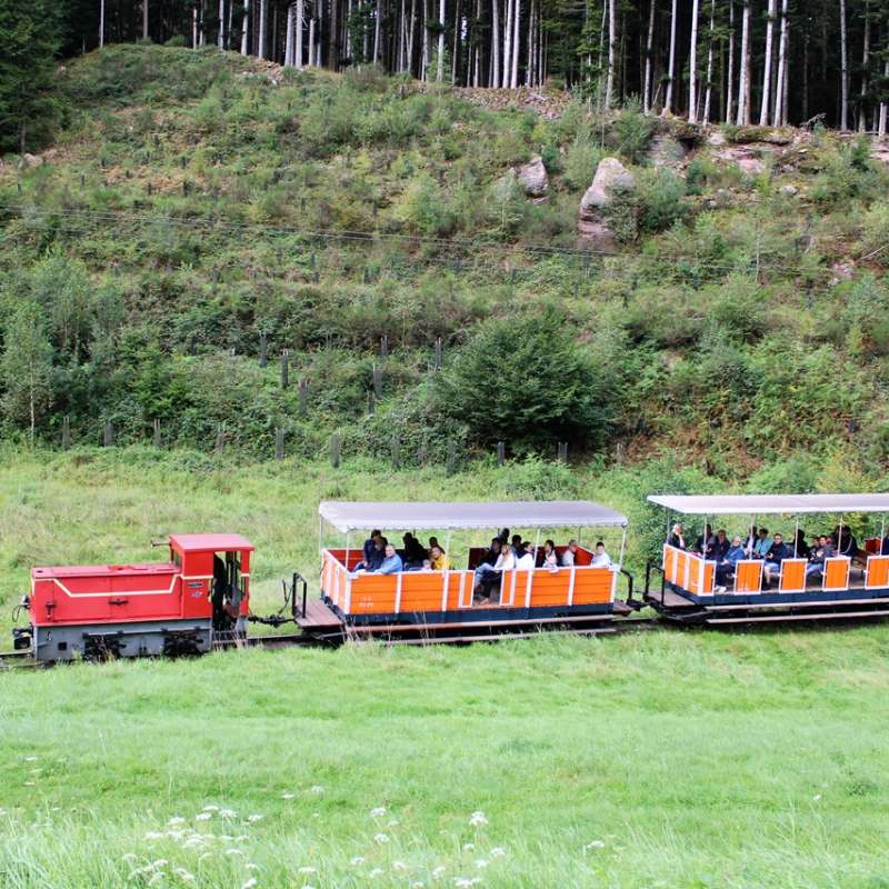 Train forestier Abreschviller Forest railway Abreschviller