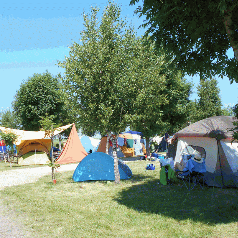 WALZER Jean-Pierre - SI Gondrexange Campsite les Mouettes