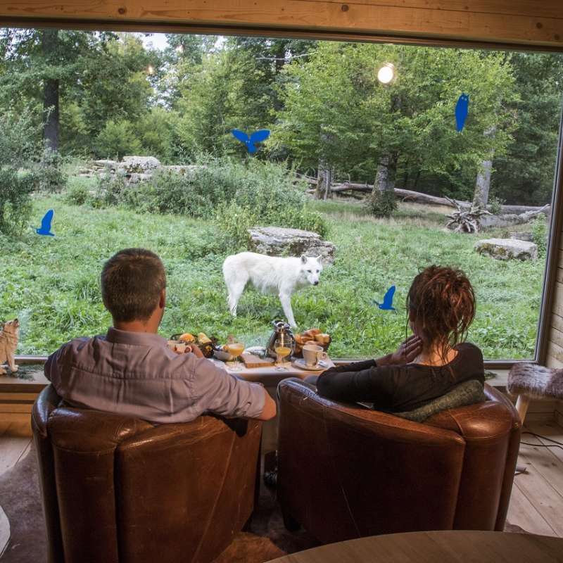 Morgane Bricard Unusual accommodation - Cabane du Trappeur