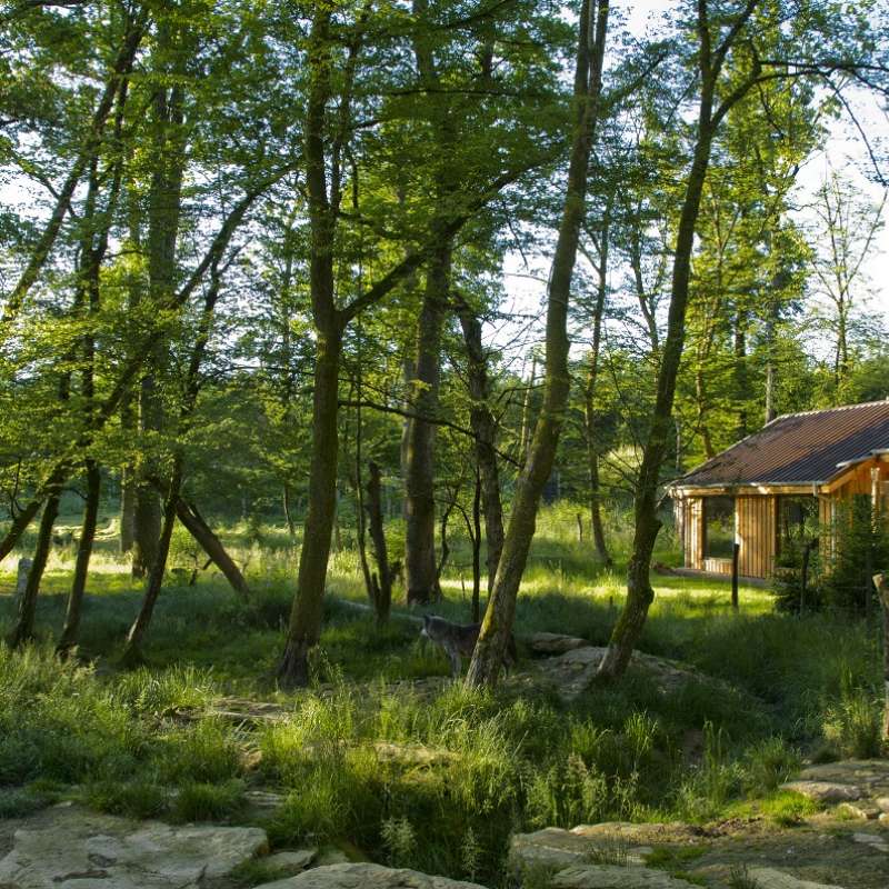 UNUSUAL ACCOMMODATION - JACK LONDON LODGE