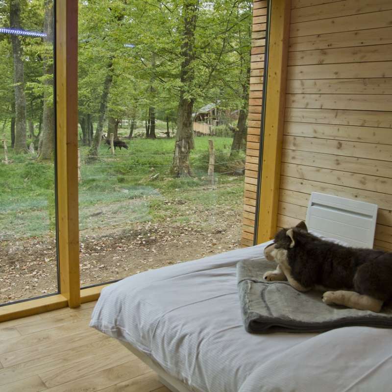 Morgane Bricard Unusual accommodation - Yellowstone lodge