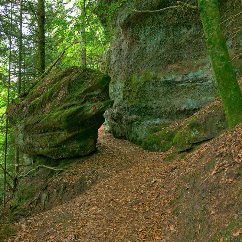 Emmanuel Stourm 2020
Licence Open Data Forge rock