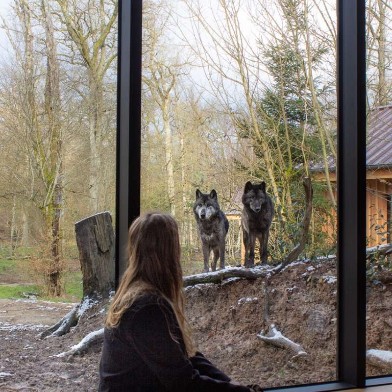 Margaux C Unusual accommodation - Yukon lodges