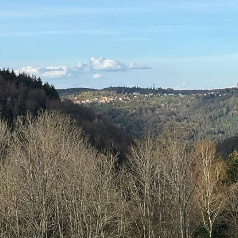 Michel Gîte au claire de lune