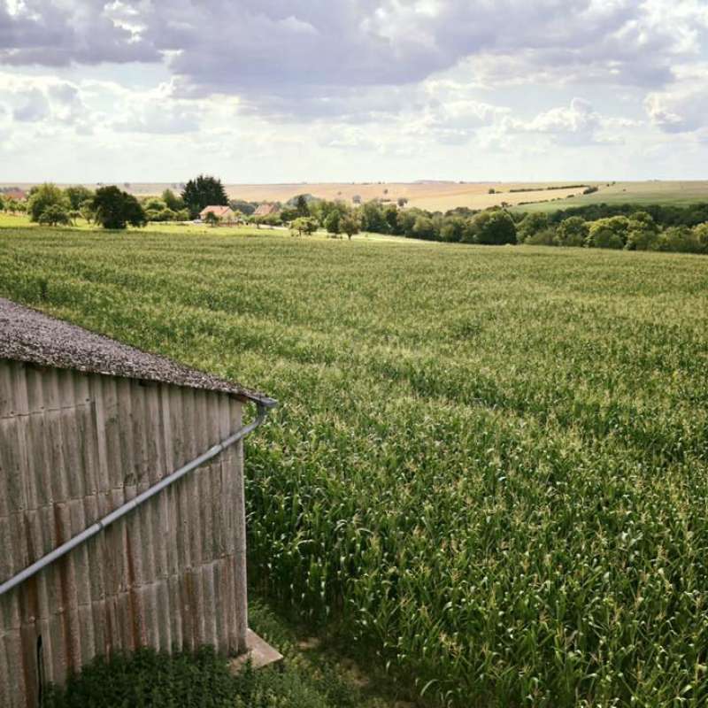 Richard Fouchs  Kleinwald Farm