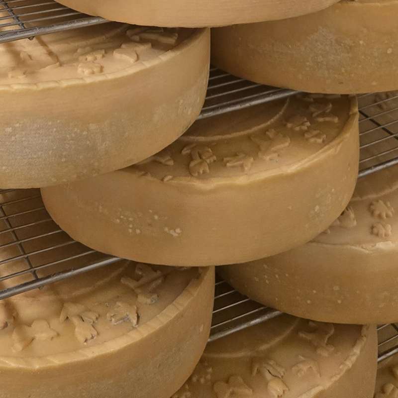 Fromagerie de l'Abbaye de Vergaville Fromagerie de l'Abbaye de Vergaville