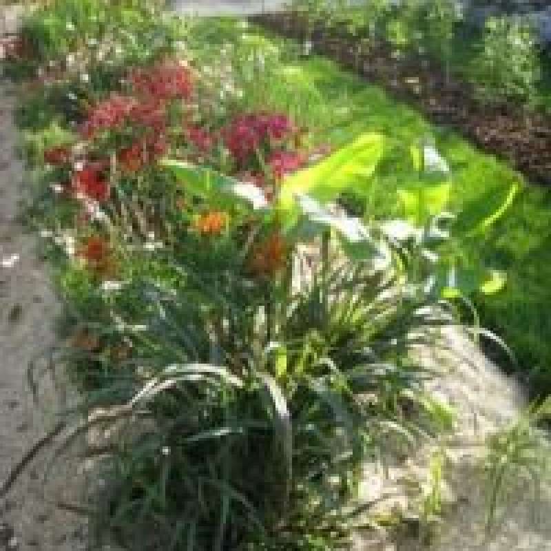 © 2001 - 2007 JARDINS . . . à suivre Les jardins passerelles