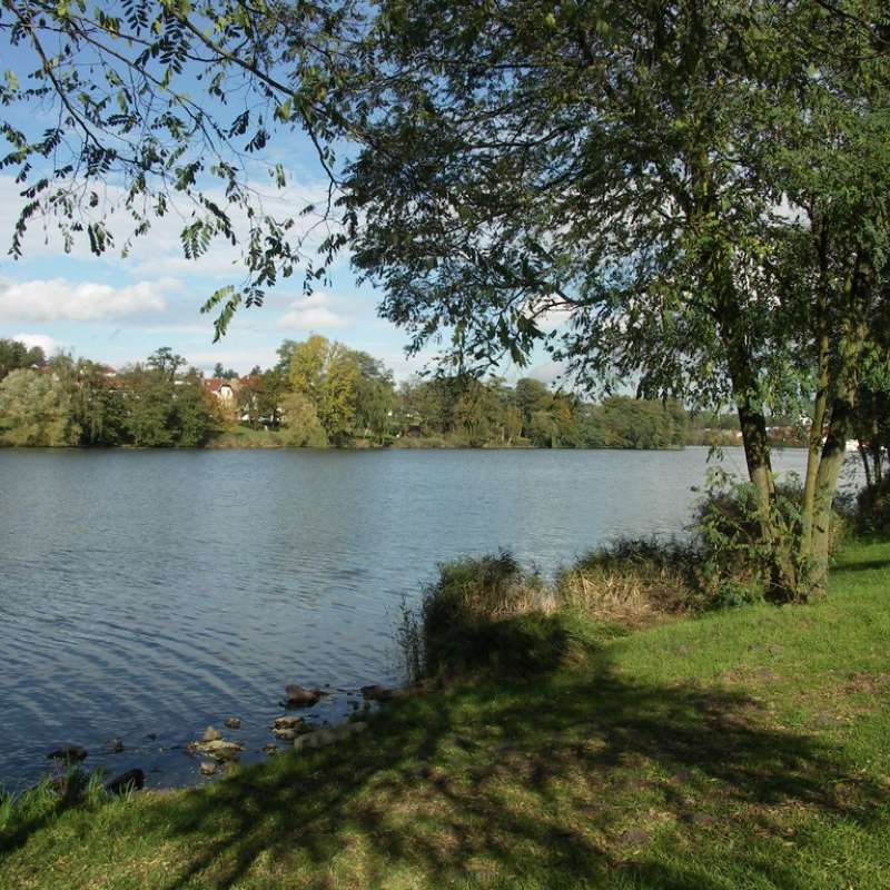 Hôtel Aster  Hôtel The Originals Aster