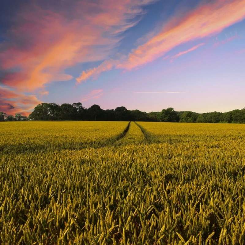 Libre de droit - Pixabay La colline bleue