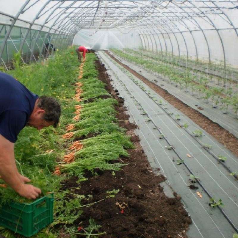 Facebook Jardins Bio Tanzgarten Les jardins bio du Tanzgarten