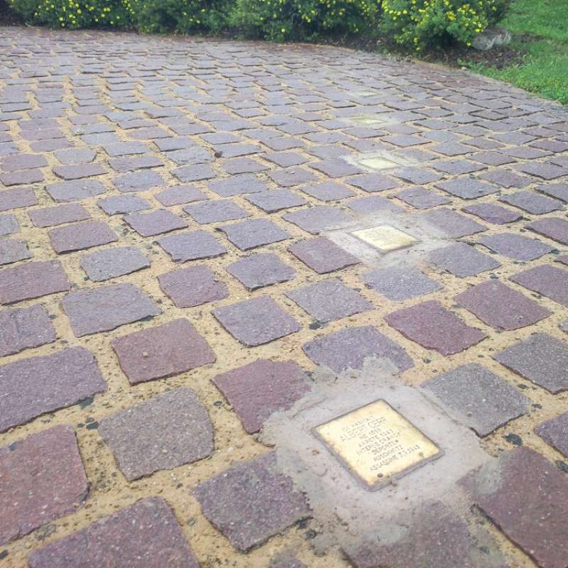 OT Saint-Avold Coeur de Moselle - M Zapp Stolpersteine à Niedervisse