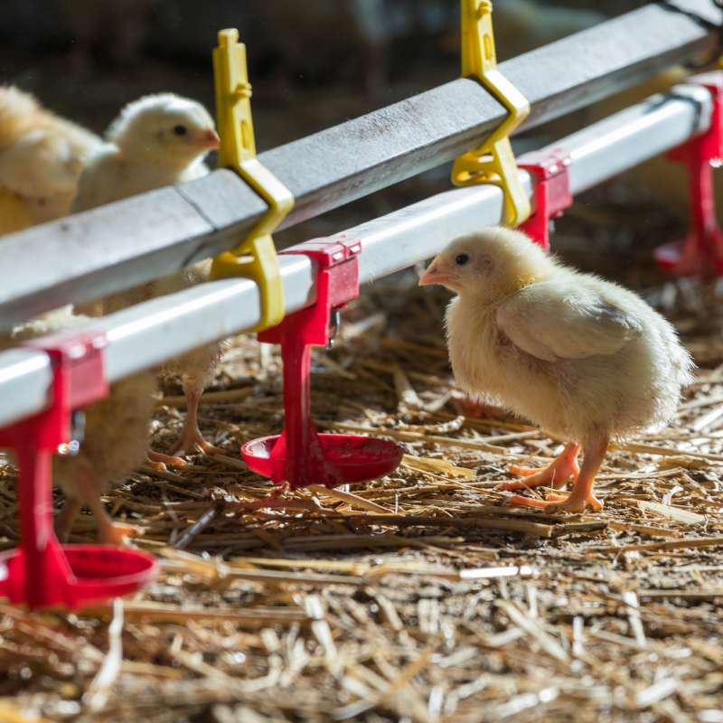 Studio 117 Ferme Grasse