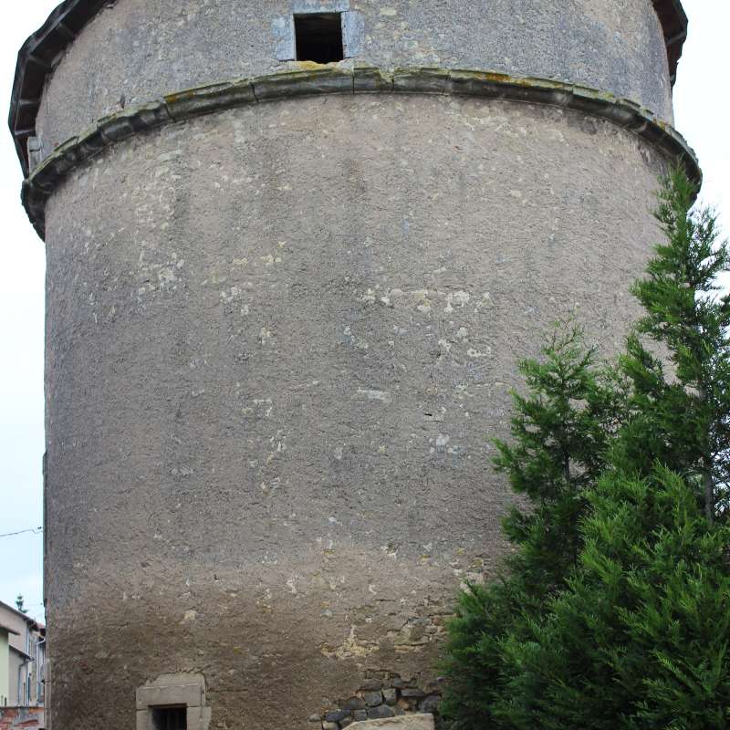 Stephane Beck Colombier