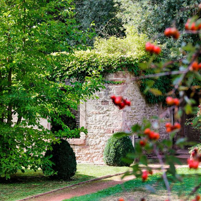 CTurpin - Sarreguemines Tourisme Garden of the fayence workers