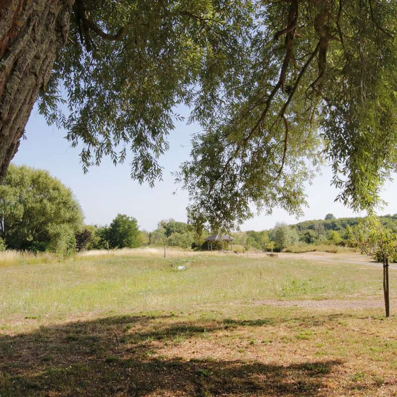 CTurpin - Sarreguemines Tourisme Arboretum