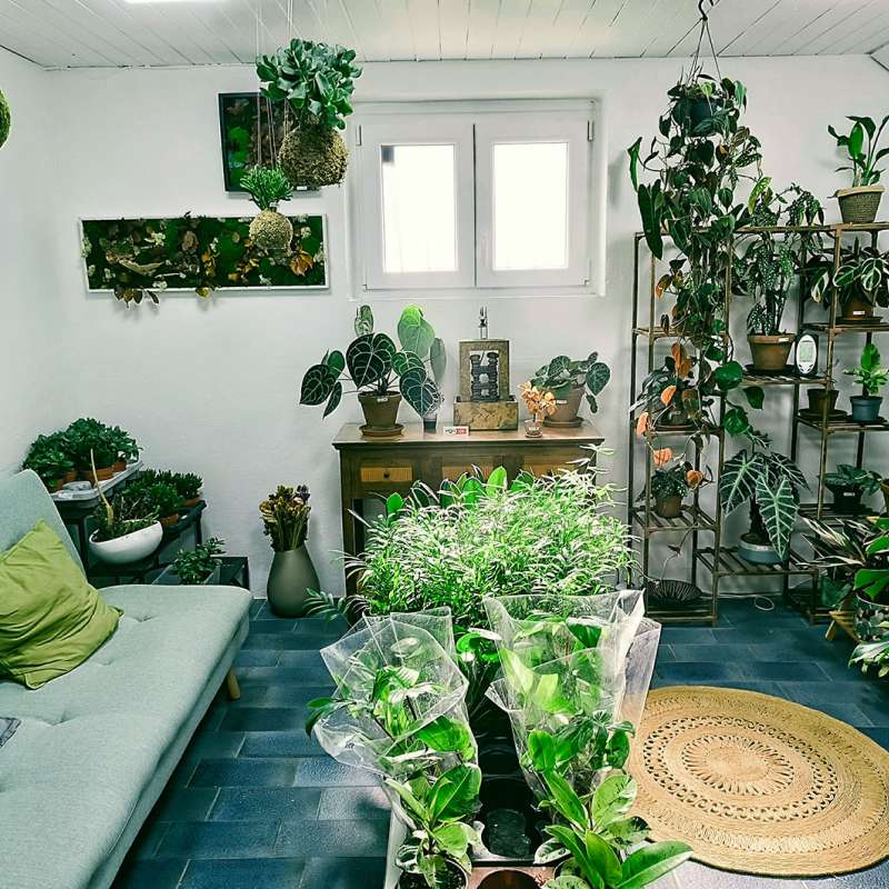 Foret de verre - Woustviller Forêt de verre