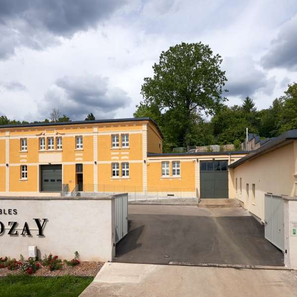 Château de Vaux - vignobles Molozay