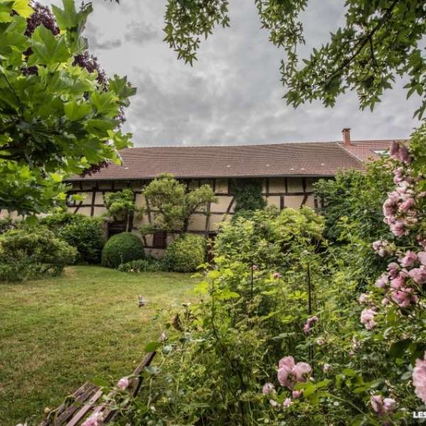 Arboretum de la Maison Güth