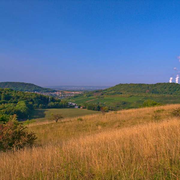 Réserve naturelle de hammelsberg