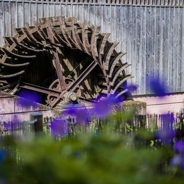 Le site du moulin d'Eschviller