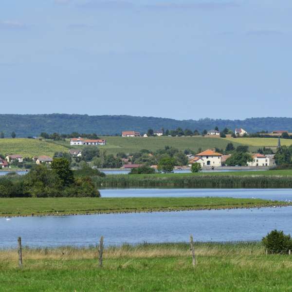 Domaine de Lindre