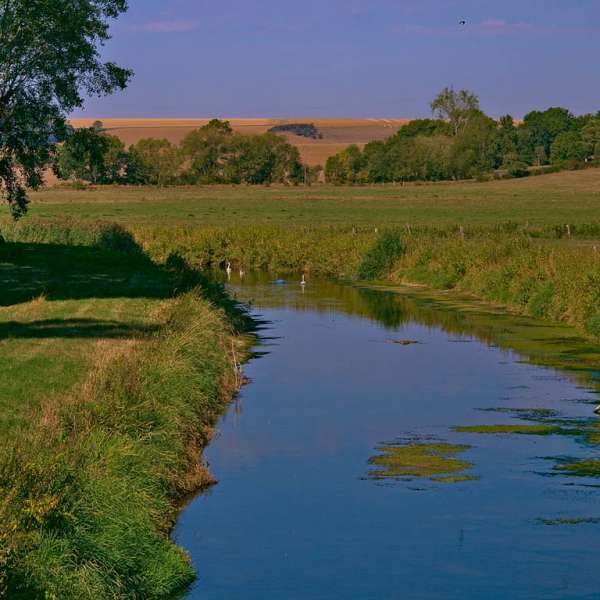 Vallée de la Seille et prés salés de Marsal