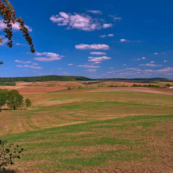 Circuit vélo du sel