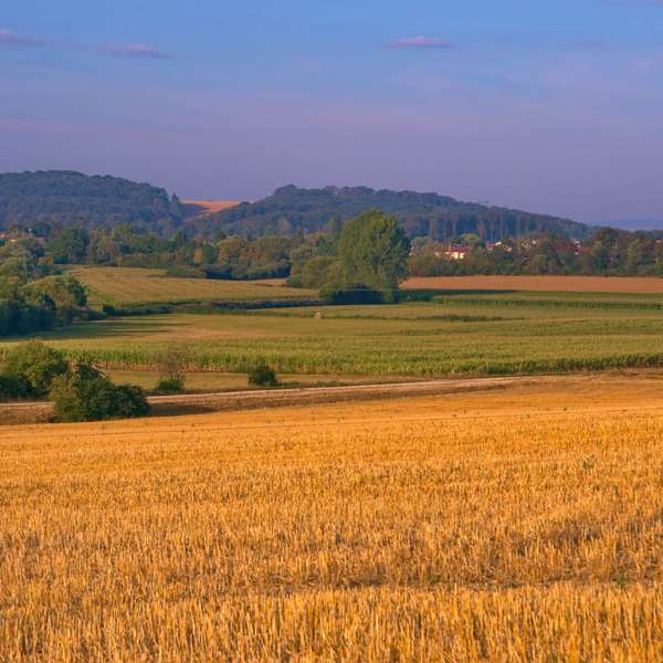 Voie verte du pays de Pange
