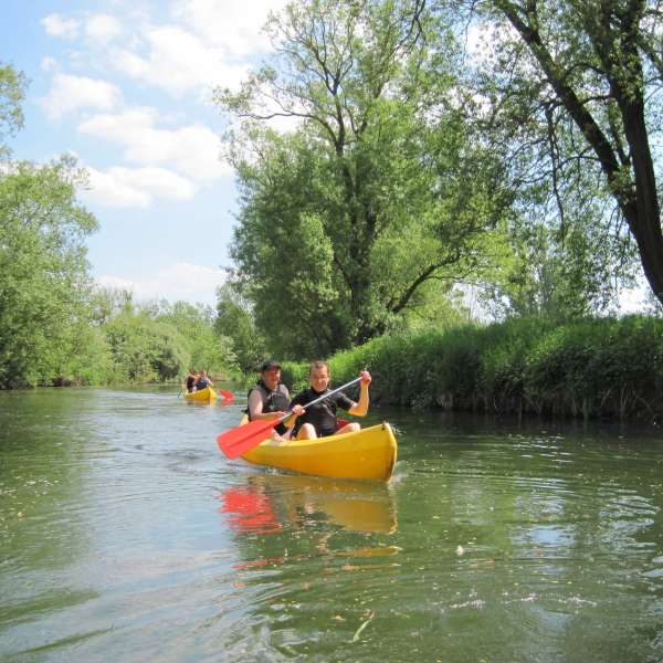 Paysages sauvages de la Nied en kayak de Freistroff à Bouzonvillle
