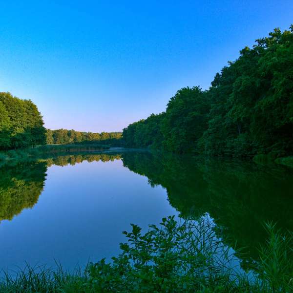 Oderfang - Porcelette - Creutzwald