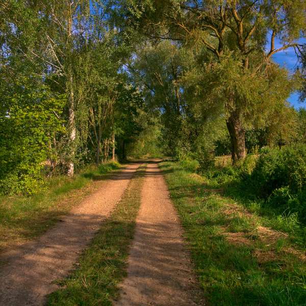 GR501 de Rombas à Plappeville