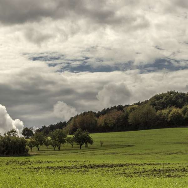 Balade entre bois et jardins