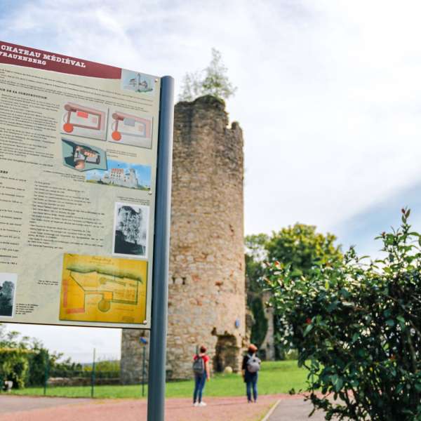 Sur les Pas des Comtes