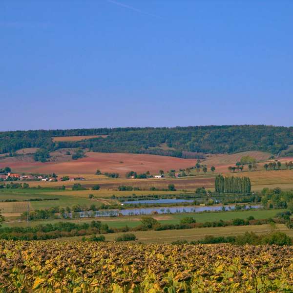 Entre les deux Seilles