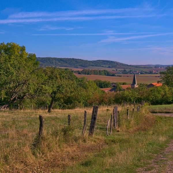 Entre vergers et forêts
