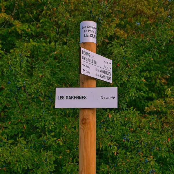 Liaison boucle de Sainte-Anne - les coteaux d'Albestroff