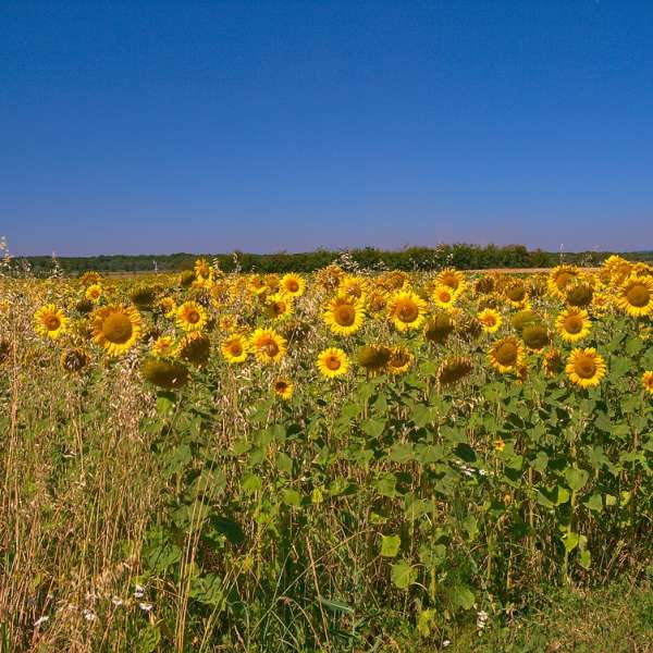 Liaison de Flanville à Laquenexy