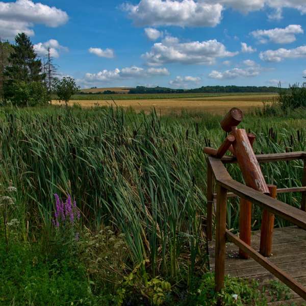 Boucle du bois de Chaumont